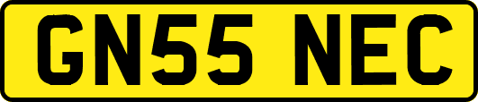 GN55NEC