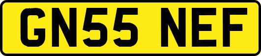 GN55NEF