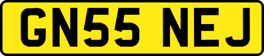 GN55NEJ