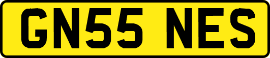 GN55NES