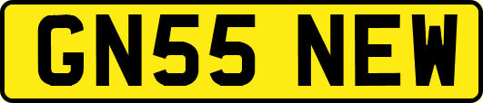 GN55NEW