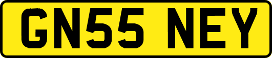 GN55NEY