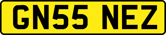 GN55NEZ
