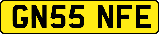 GN55NFE