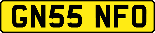 GN55NFO