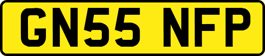 GN55NFP