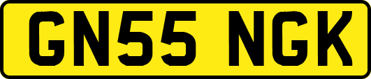 GN55NGK