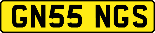 GN55NGS