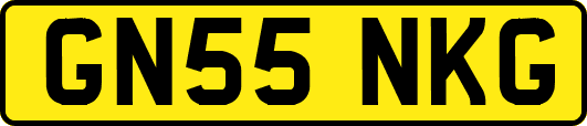 GN55NKG