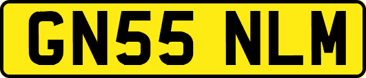 GN55NLM