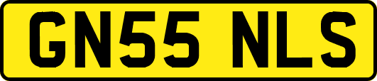 GN55NLS