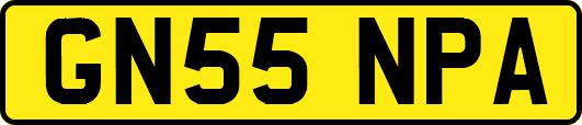 GN55NPA