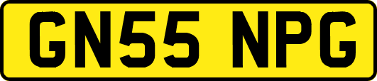 GN55NPG