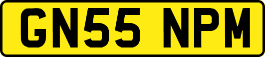 GN55NPM