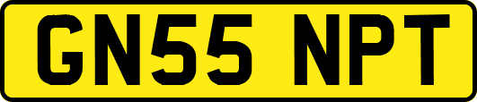 GN55NPT