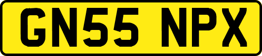 GN55NPX