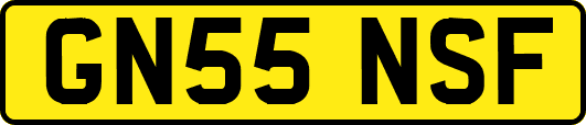 GN55NSF