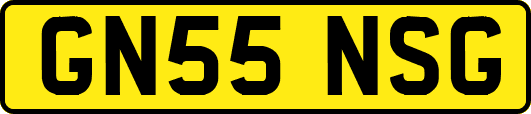 GN55NSG