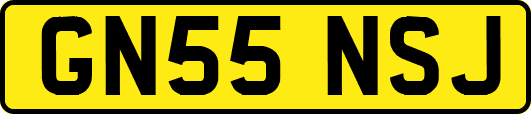 GN55NSJ