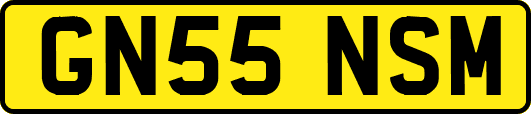 GN55NSM