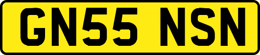 GN55NSN