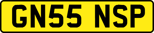 GN55NSP