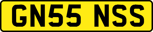GN55NSS