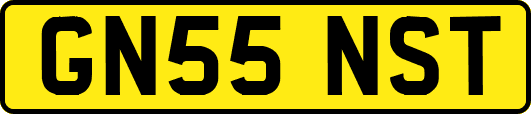 GN55NST