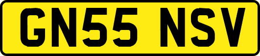 GN55NSV