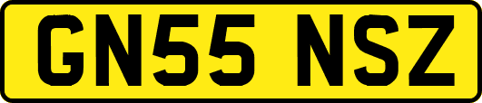 GN55NSZ