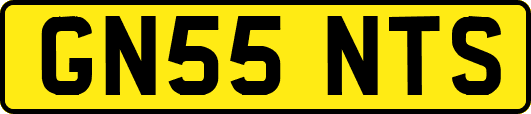 GN55NTS