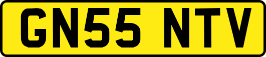 GN55NTV