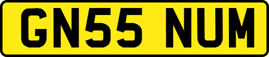 GN55NUM