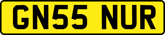 GN55NUR