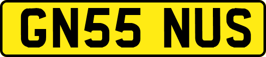 GN55NUS