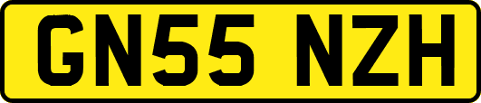 GN55NZH
