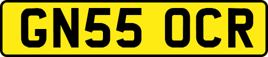 GN55OCR