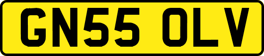 GN55OLV