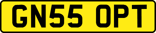 GN55OPT
