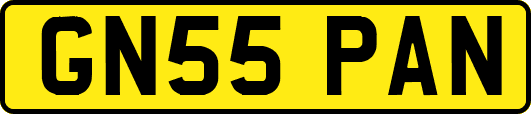 GN55PAN