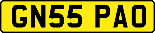 GN55PAO