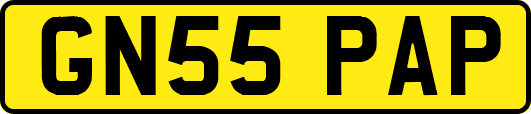 GN55PAP