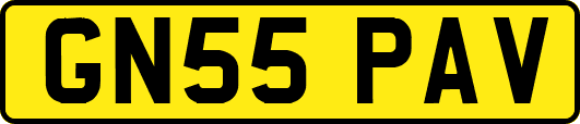 GN55PAV