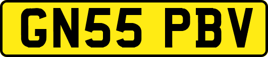 GN55PBV