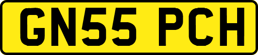 GN55PCH