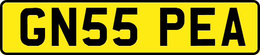 GN55PEA
