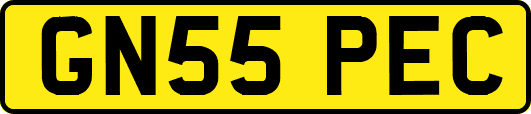GN55PEC