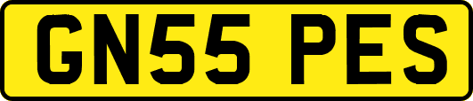 GN55PES