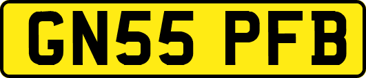 GN55PFB