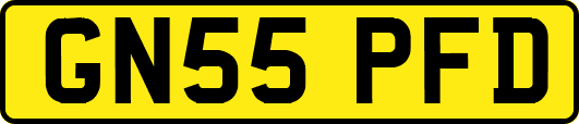 GN55PFD